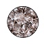 купить тарелка пирожковая roberto cavalli home -15,5 см серия - tropical jungle white недорого Тарелка пирожковая Roberto Cavalli Home -15,5 см серия - TROPICAL JUNGLE WHITE